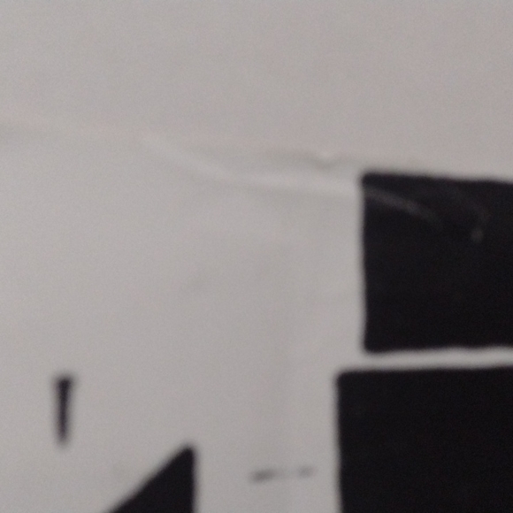 BLACK FLAG Punk Band poster from the show at the fleetwood in Redondo beach CA - Picture 6 of 8